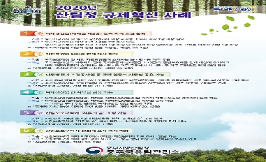 (산림청) 규제혁신 사례 홍보 리플릿 